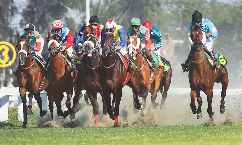 Pakistan's biggest horse race to be held on Sunday