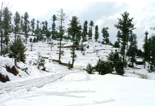 Malam Jabba's snow blanketed as tourists throng hilly stations in Pakhtunkhwa