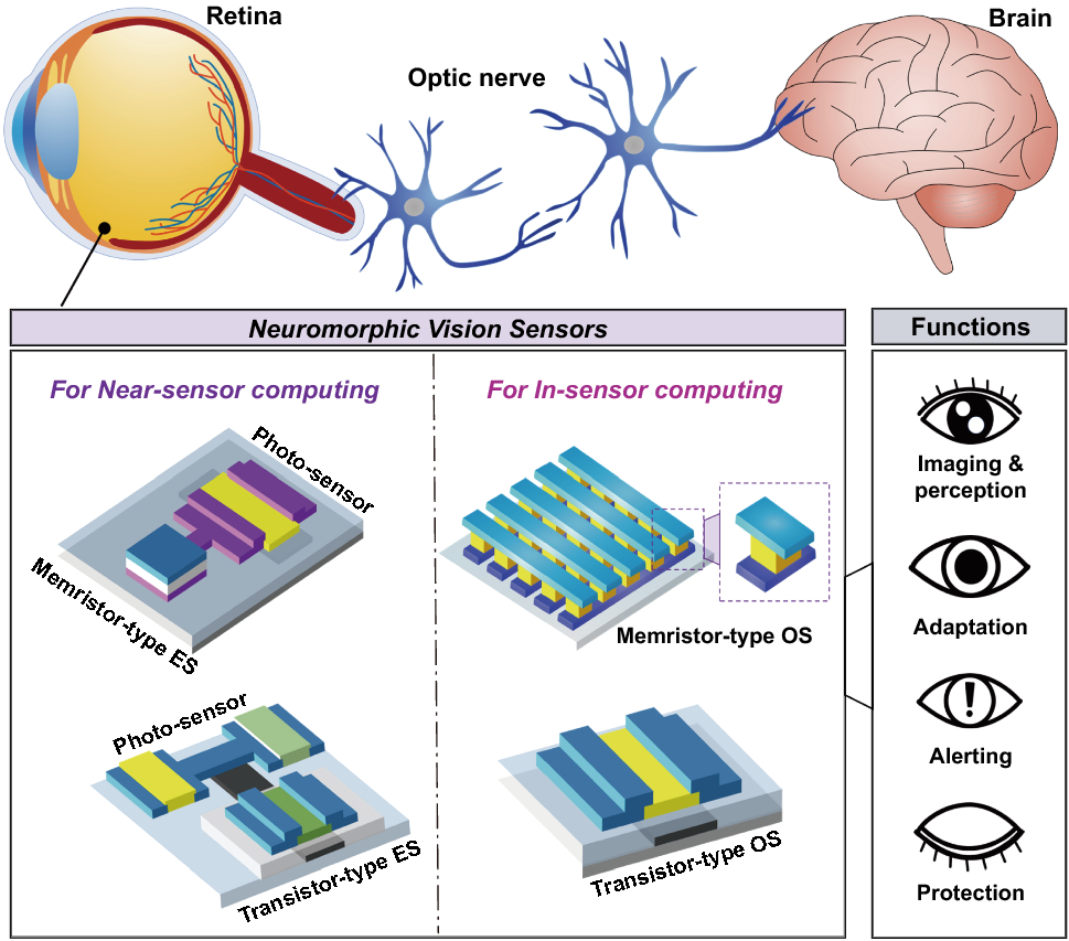 Pakistani researcher achieves milestone in artificial vision in AI era