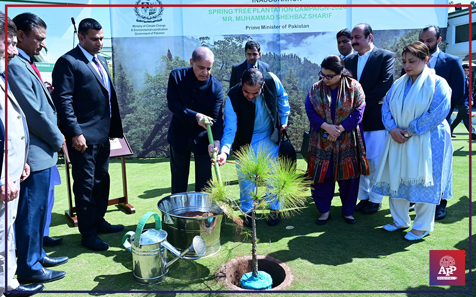 PM kicks off spring plantation drive, vows to save country from climate change risks