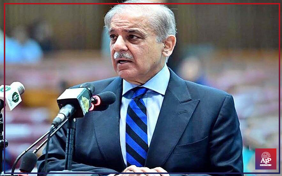 Government committed to steer country out of economic crisis: PM Shehbaz