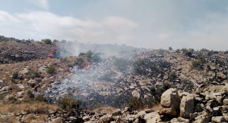 Forest fire containment efforts underway in Kho-e-Khandaran Area