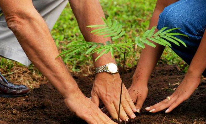 Samson’s inaugurates tree plantation drive on Int'l Forest Day