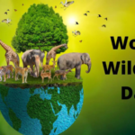 World Wildlife day