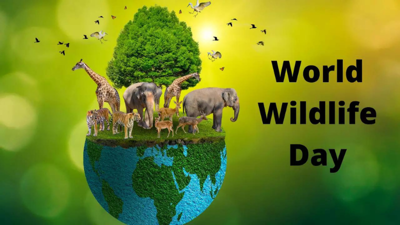 World Wildlife day