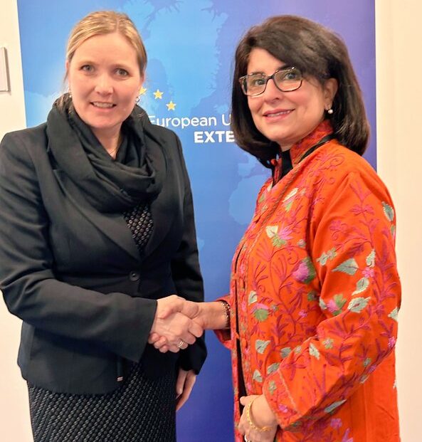 Ambassador Baloch emphasises stronger Pak-EU partnership against common challenges