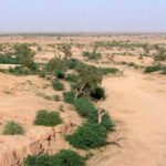 Cholistan