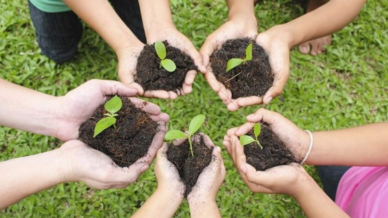 Tree Plantation Ceremony organized at Commissioner Office to observe ‘World Earth Day’