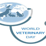 World Veterinary Day: Veterinarians role in promotion of cattle farming lauded