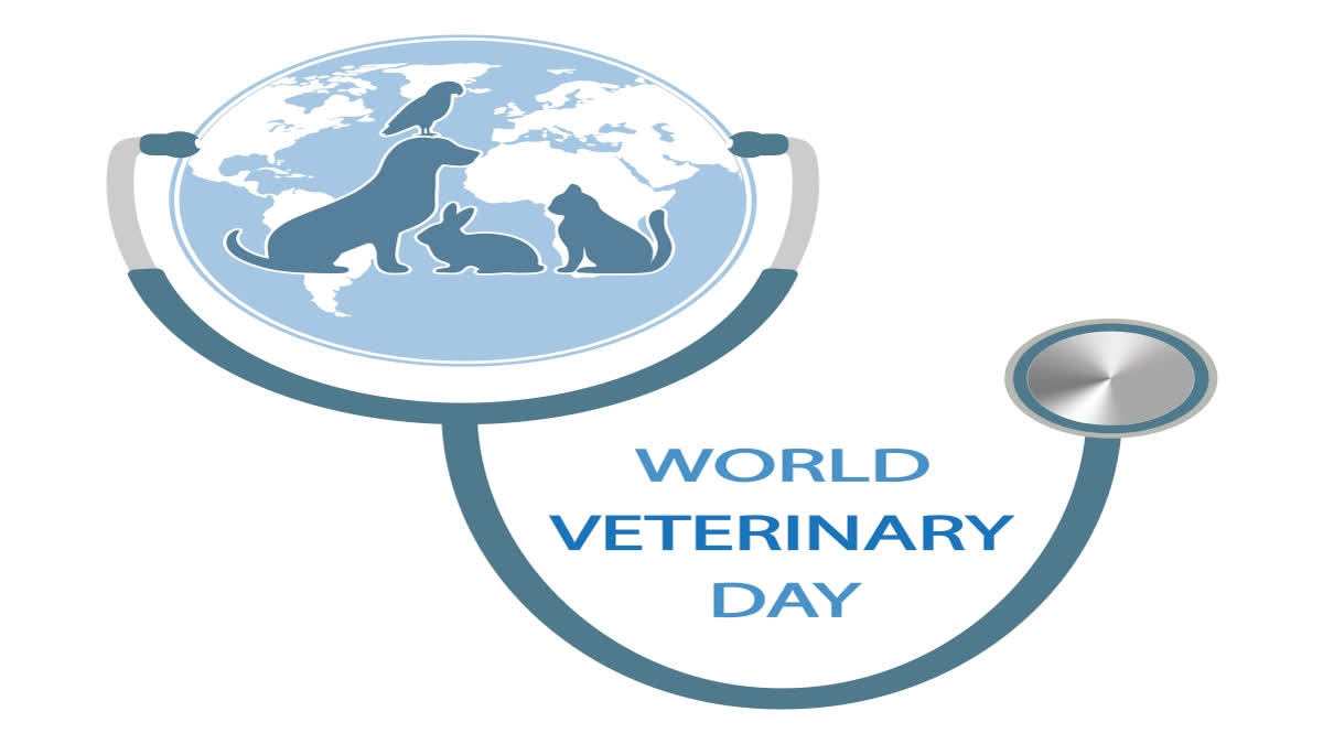 World Veterinary Day: Veterinarians role in promotion of cattle farming lauded