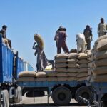 Labourers busy in shifting sacks of grains from one truck to another at Fruit and Vegetable market.