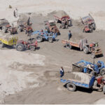 Labourers are busy loading sand on the tractor's trolleys from the dry bed of Chenab River at Head Muhammed Wala