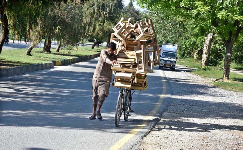 A vendor on the way along with his bicycle loaded with wooden stools for selling in Federal Capital.