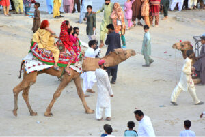 A large number of people visit the bank of River Indus