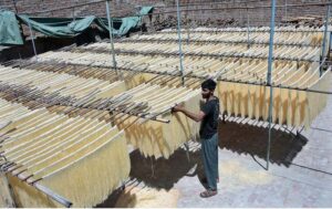 Worker busy in hanging the vermicelli for dry purpose at his workplace in connection with upcoming Eidul Fitr.