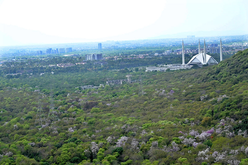Foreigners enjoy bird eye view of the federal capital from the picnic point Daman e Koh.