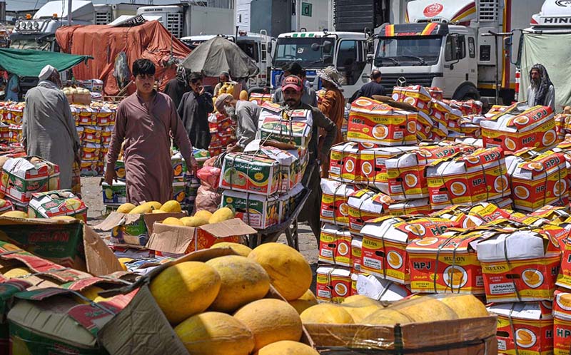 A labourer on the way pushing a hand cart loaded with melons at Islamabad Fruit and Vegetable Market.