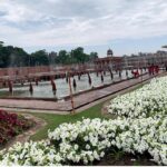 A beautiful view of historical Shalamar Bagh in the Provincial Capital.