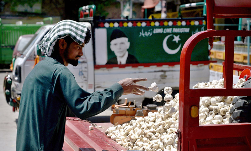 A vendor displaying garlic on tricycle rickshaw to attract the customers at Banni