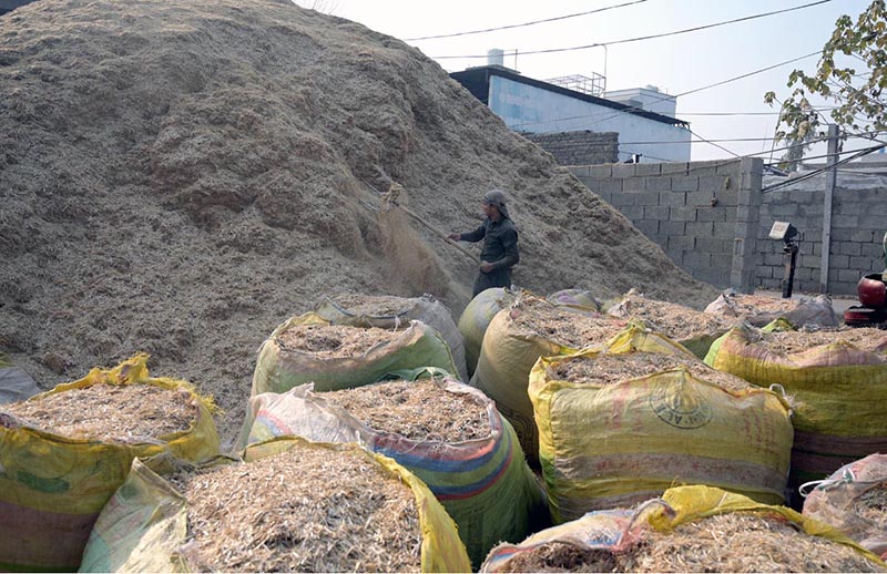 Laborer is busy making sacks of chaff (husk from wheat) at his setup.