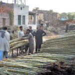 Vendors displaying sugarcane to attract the customers at Fruit Market.