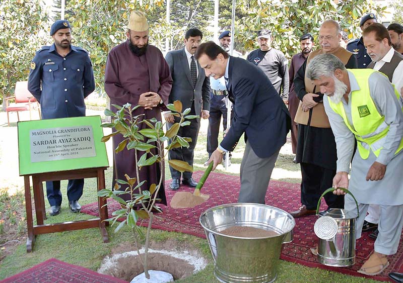 Speaker National Assembly Sardar Ayaz Sadiq planting a sapling of Magnolia Grandiflora in front of Parliament House.