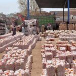 Labourers are busy in unloading tomatoes bags from delivery trucks at Vegetable Market