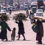 Women on the way carrying bundles of dry woof branches while crossing a busy road at Pirwadhai