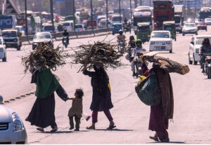 Women on the way carrying bundles of dry woof branches while crossing a busy road at Pirwadhai