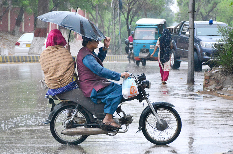 A family traveling on the motorcycle under the cover of umbrella to protect from rain in the city.