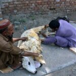 Workers busy in cutting hair of a sheep at Sheikhupura Road