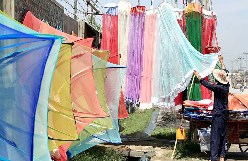 A vendor displaying mosquito protective nets to attract the customers at Charsadda road