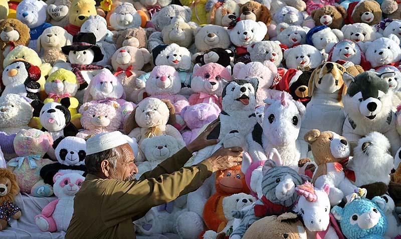 A vendor displaying toys to attract customers at Faizabad.