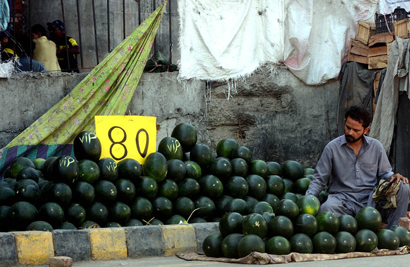 A vendor displaying and selling watermelon to attract customers at his roadside setup in the Provincial Capital