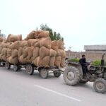 A tractor trolley loaded with chaff (husk from wheat) on the way at Fateh Chowk Road.
