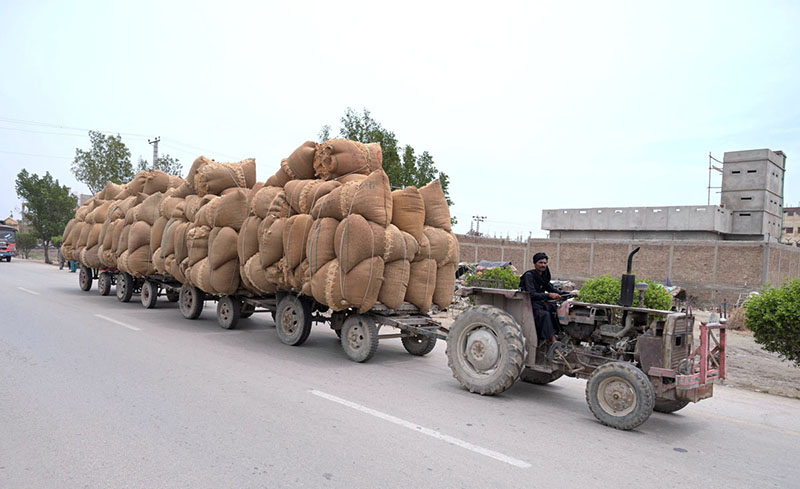 A tractor trolley loaded with chaff (husk from wheat) on the way at Fateh Chowk Road.