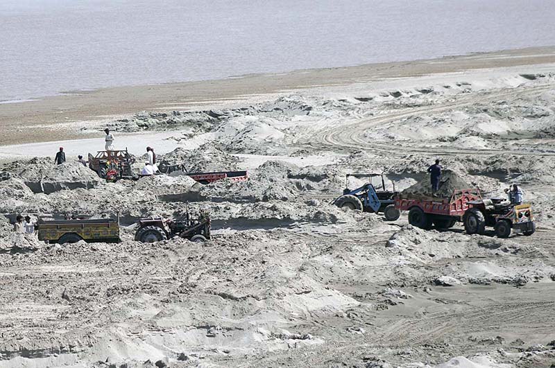 Labourers are busy loading sand on the tractor trolleys from the dry bed of the Chenab River.