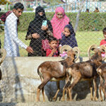 Families with children visiting Zoo at Rani Bagh Park on the 3rd day of Eid ul Fitr celebrations