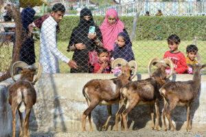 Families with children visiting Zoo at Rani Bagh Park on the 3rd day of Eid ul Fitr celebrations