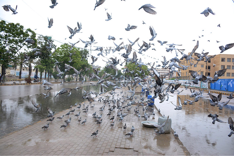 Vehicles passing through rain water at Korangi Road.