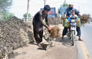 A vendor selling garlic at his roadside setup.
