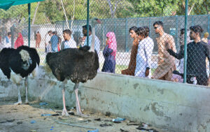 Families with children visiting Zoo at Rani Bagh Park on the 3rd day of Eid ul Fitr celebrations