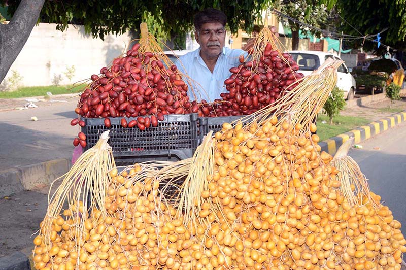 A vendor displaying raw dates to attract the customers at his roadside setup