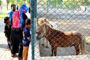 Families with children visiting Zoo at Rani Bagh Park on the 3rd day of Eid ul Fitr celebrations