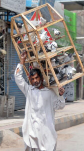 A person on the way while carrying birdcage heading towards his destination.