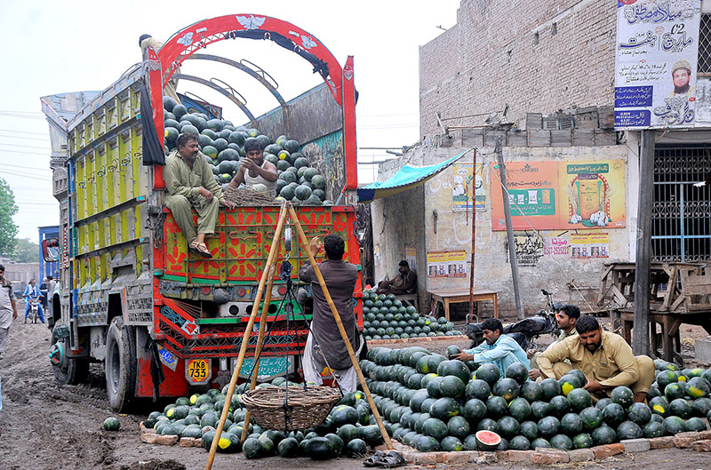 Labourers off-loading watermelons from a delivery truck at the fruit market