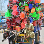 A donkey cart holder on the way loaded with children bicycle at Hatri Road to deliver in a local market.