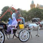 A horse driven cart carrying passengers arrive at Frere Hall