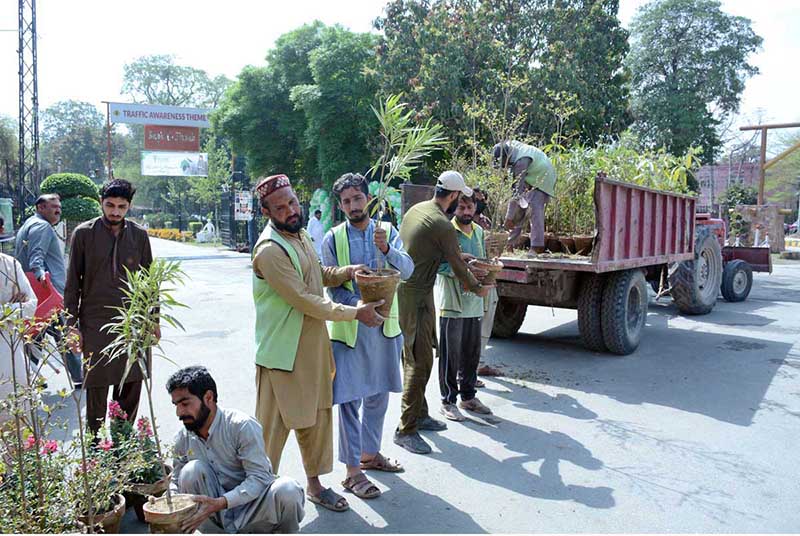 Labourers busy unloading plants from transport truck at a local nursery.