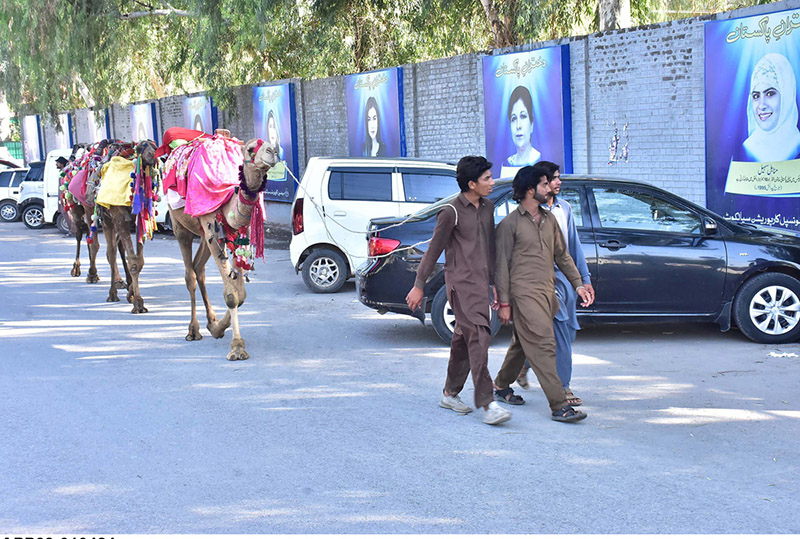 Nomads on their way with their camels passing through a wall displayed with Iconic women pictures as inspiration for youth.